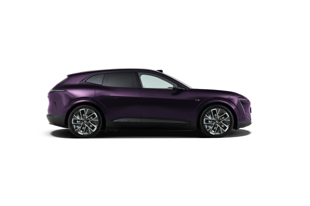 360-purpura